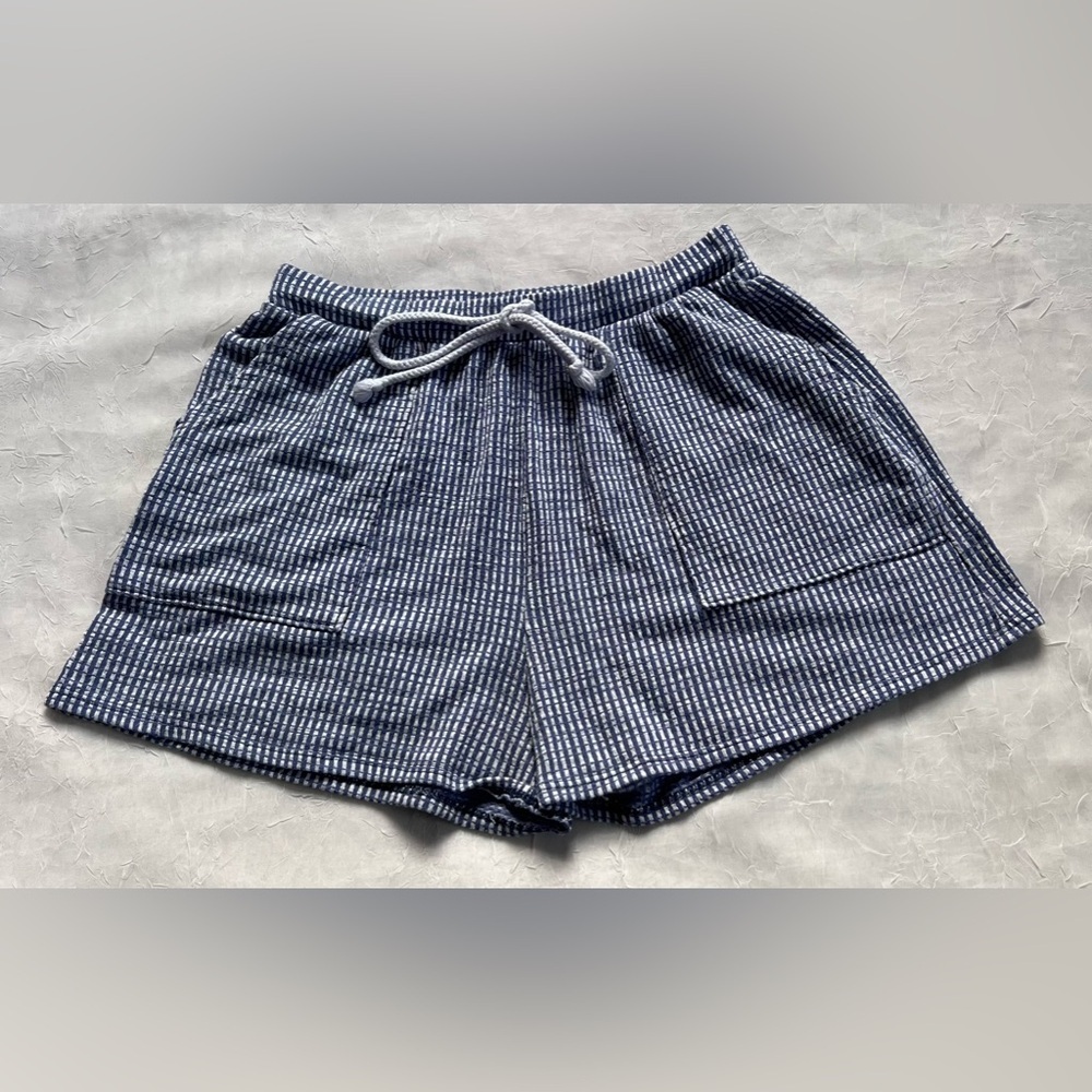Caution to wind blue & white striped shorts